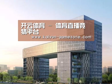 案例展示四