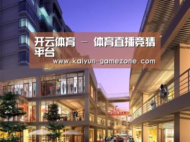 案例展示一