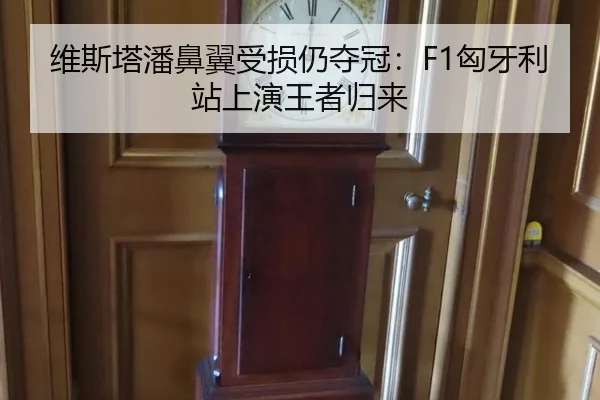 wei-si-ta-pan-bi-yi-shou-sun-reng-duo-guan-xiong-ya-li-zhan-shang-yan-wang-zhe-gui-lai-3-415.jpg