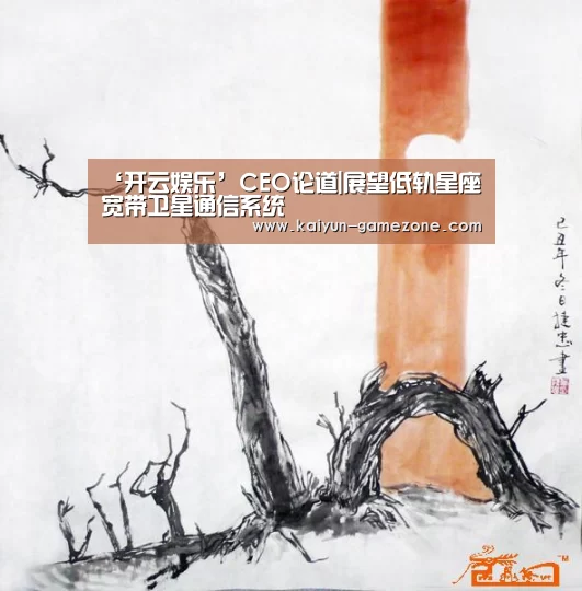 ‘开云娱乐’CEO论道|展望低轨星座宽带卫星通信系统(图1) 开云娱乐
