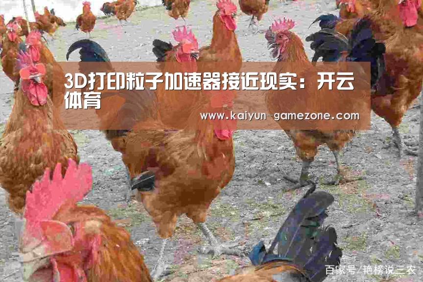 开云电竞