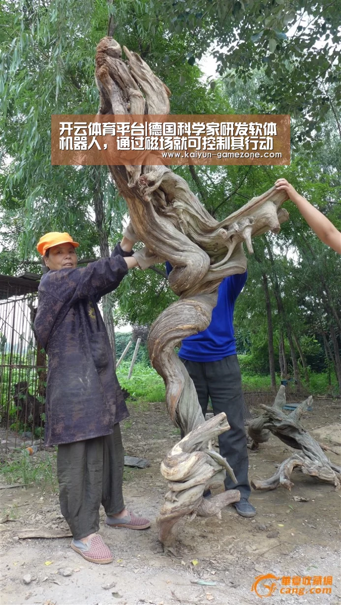 开云体育