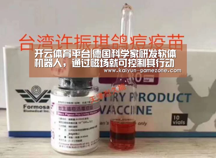 开云娱乐